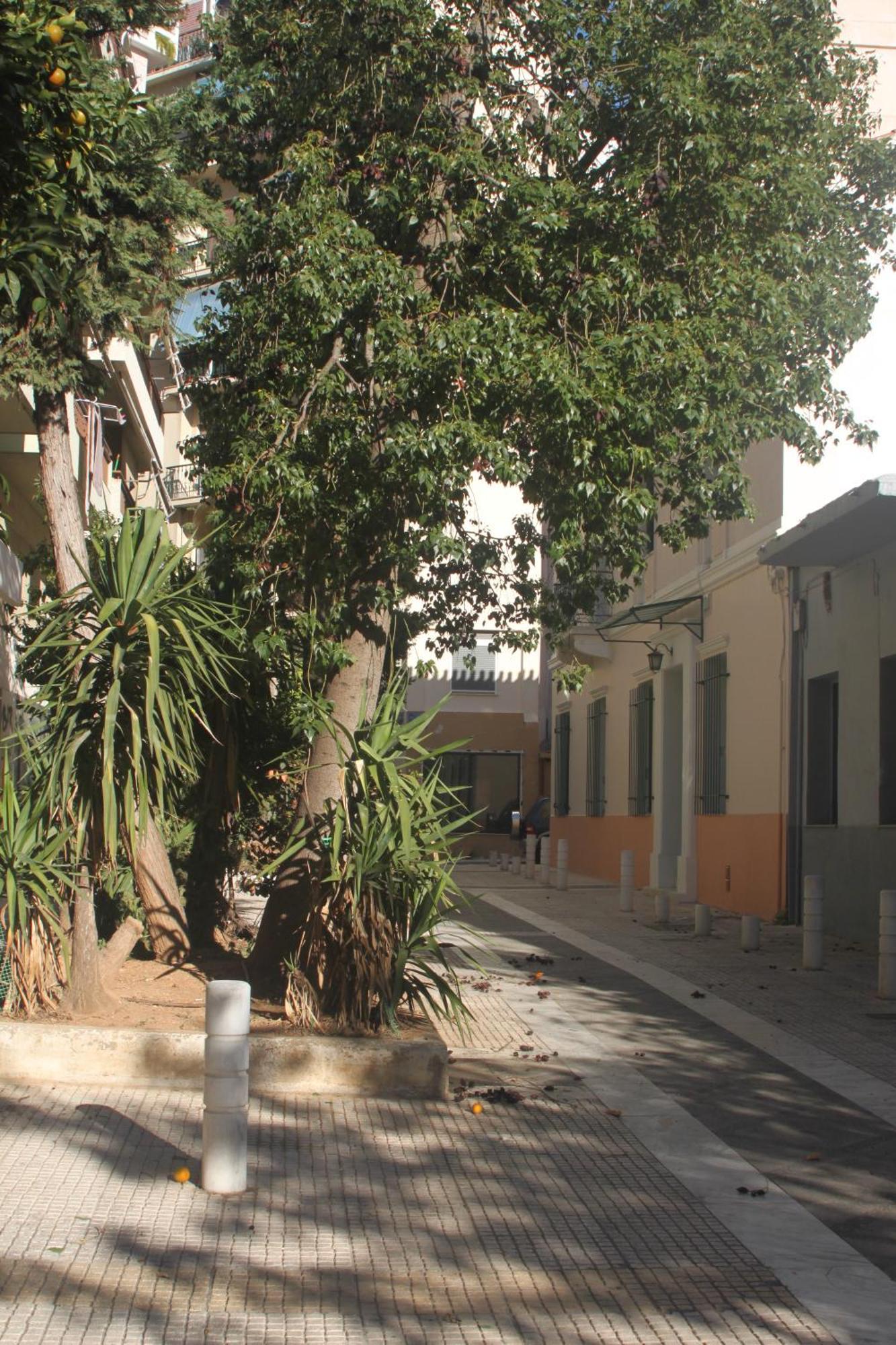 "Under The Olive Tree"- Beautiful Apartment In The Heart Of Athens Exterior photo