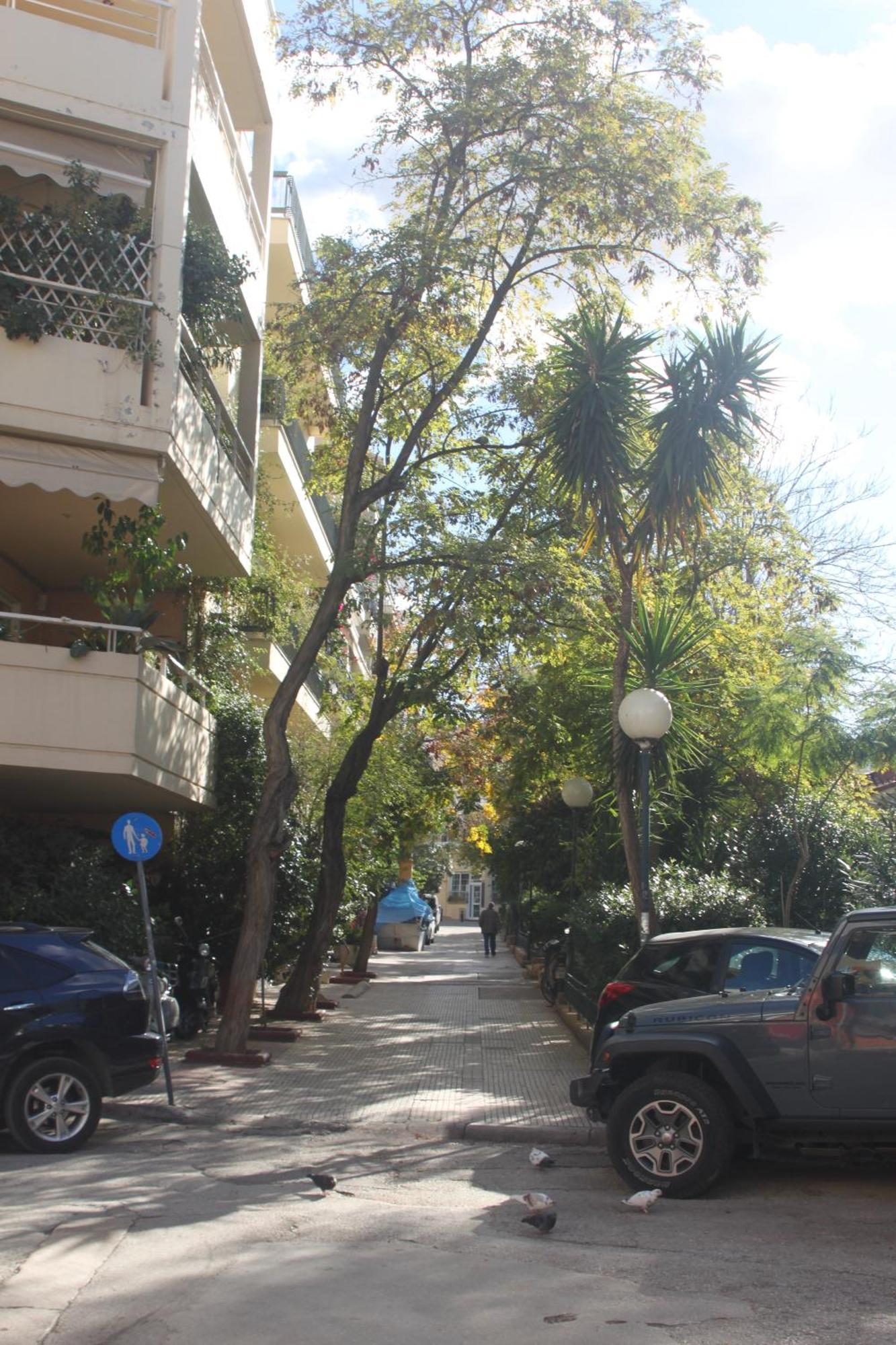 "Under The Olive Tree"- Beautiful Apartment In The Heart Of Athens Exterior photo